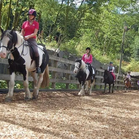 Witherslack Hall Pensión