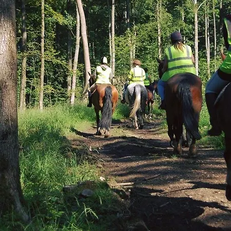 招待所 Witherslack Hall 3*