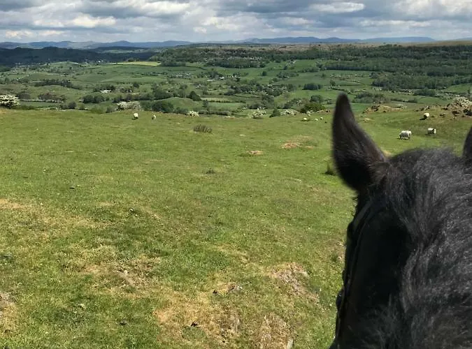 Witherslack Hall غْرانج أوفار ساندس